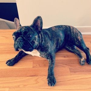 Meet your Posher, Ashley